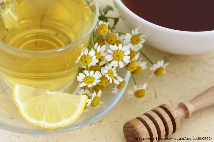 Ромашковый чай с лимоном для похудения